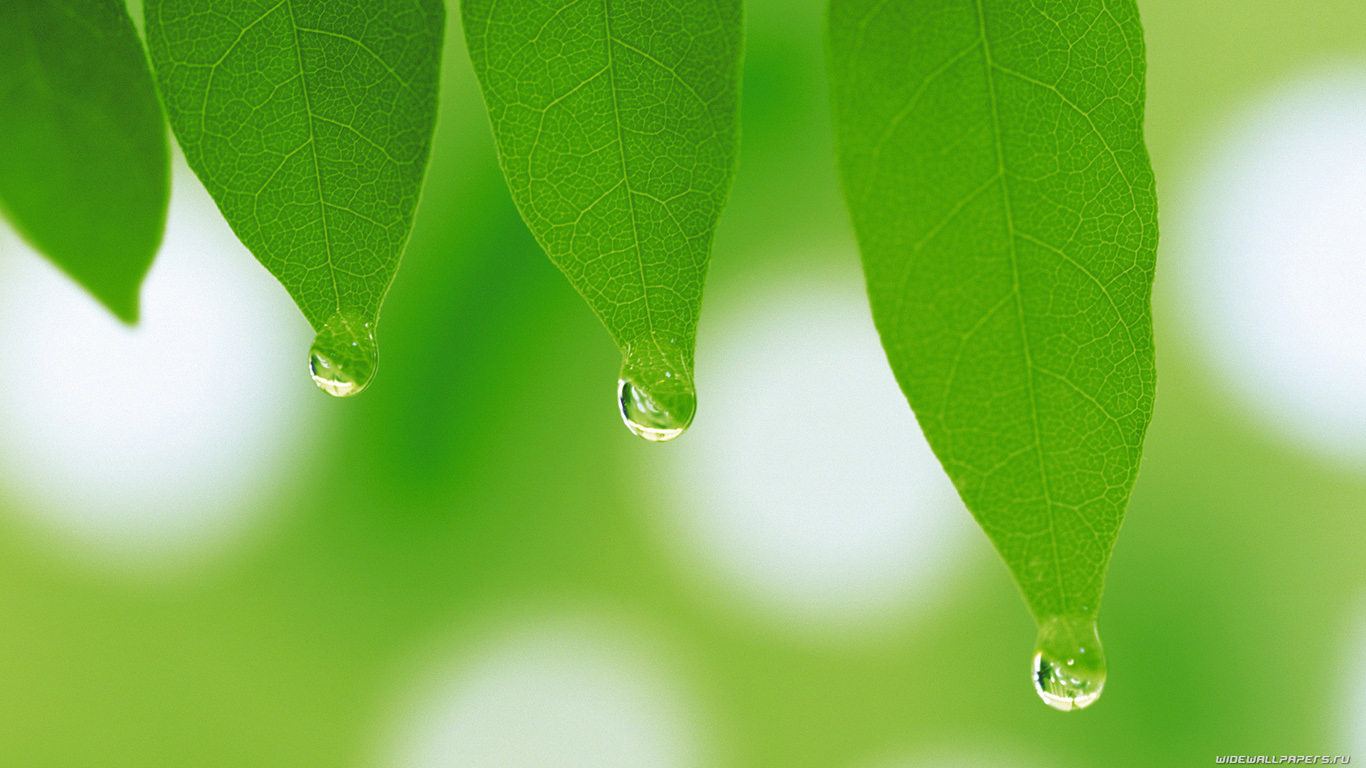 wide-wallpaper-1366x768-010